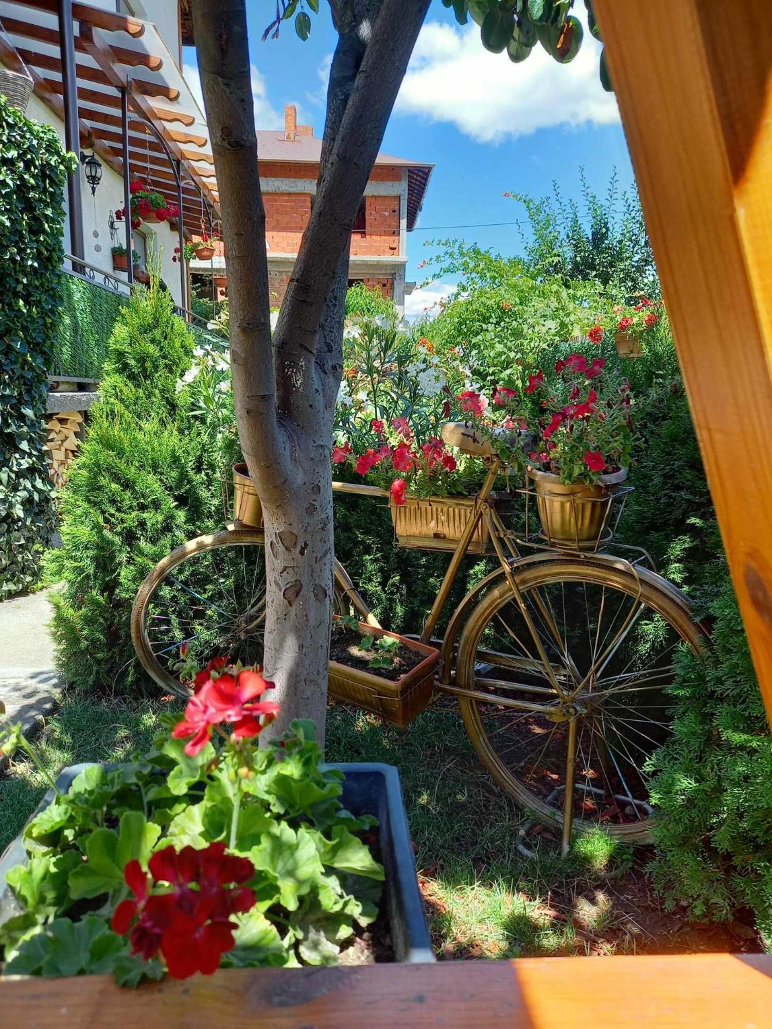 Hotel Niki House Bansko Exterior foto